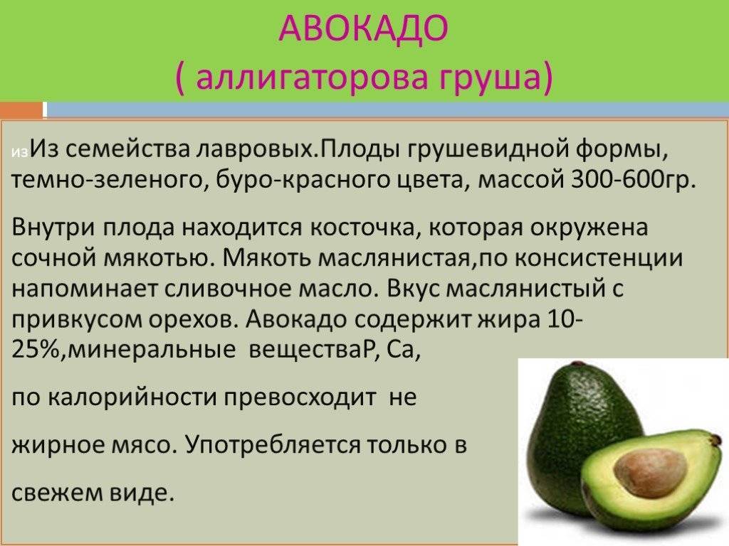 Какие жиры в авокадо. Авокадо это фрукт или овощ. Интересные факты об авокадо. Сообщение про авокадо. Интересные факты об авокадо для детей.