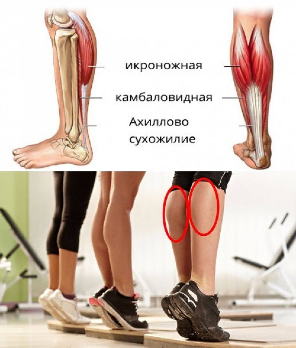 Упражнения для женщин на ноги (икроножные мышцы): делаем красивые икры в домашних условиях