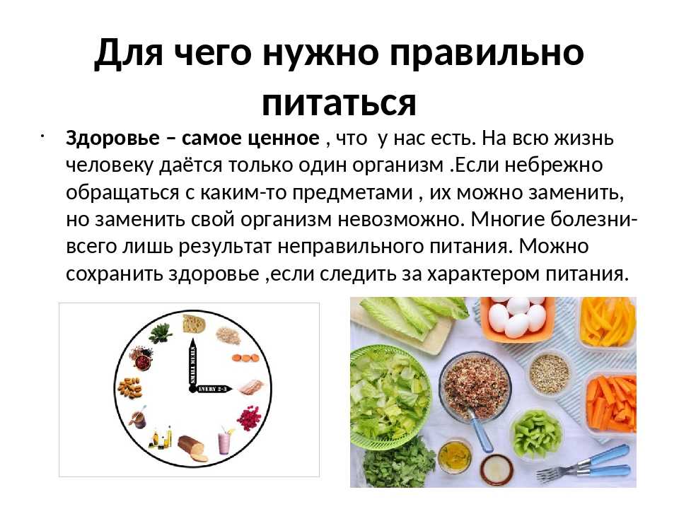 Правильное здоровое питание, полезные свойства пищевых продуктов