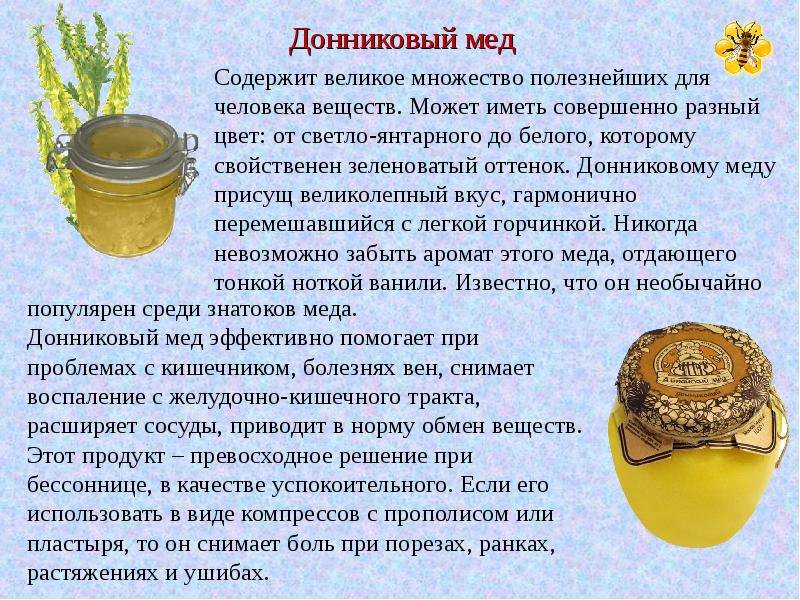 Рапсовый мед: полезные свойства и противопоказания