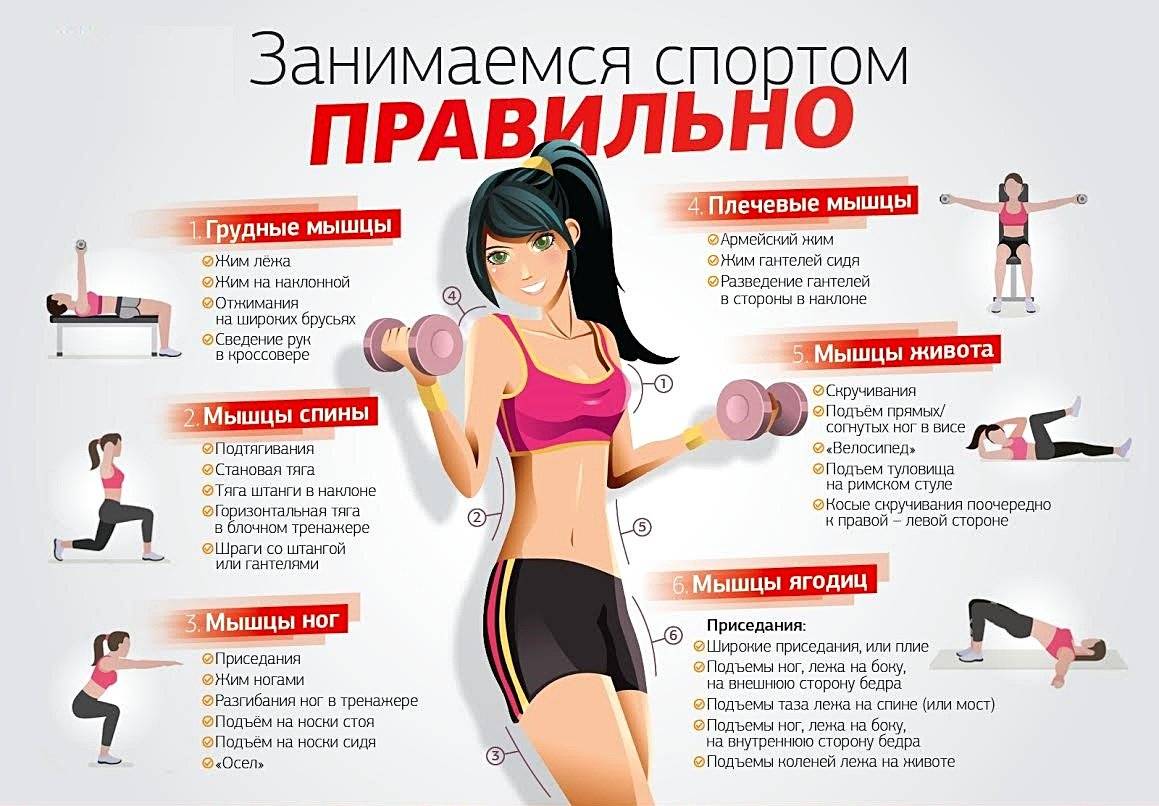 Упражнения для здоровья и похудения на каждый день