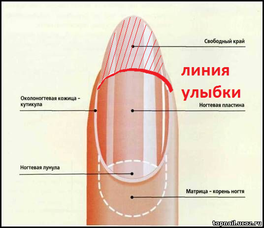 Рисунки гель-лаком на ногтях – пошаговая инструкция с фото