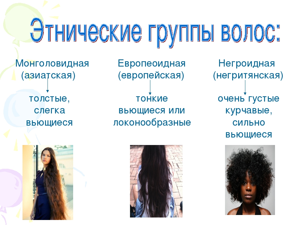 Структура волос: типы волос и метод определения. диагностика волос на сайте haircolor.org.ua