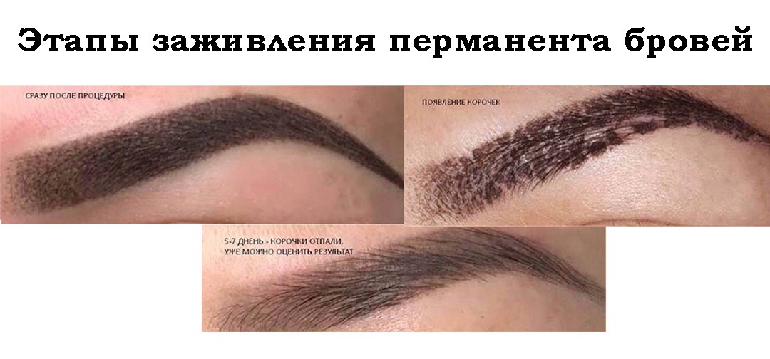Перманентный макияж бровей: что нужно знать (в 2021)