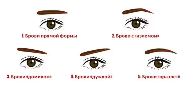 Характер человека по бровям | физиогномика в картинках