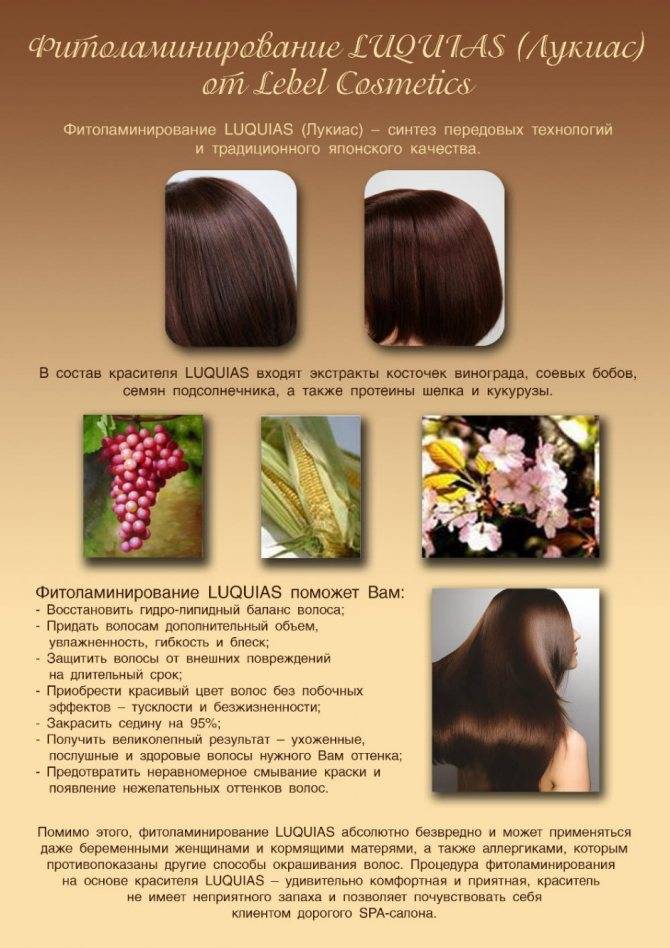 Преображение волос с фитоламинированием от японского бренда «lebel»