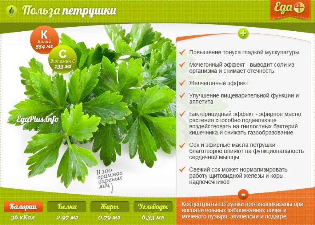 Маска из петрушки для лица: домашнего приготовления или готовые средства?