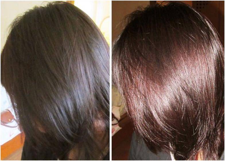 Хна и басма: пропорции и цвет, окрашивание, как красить оттенки, как покрасить волосы в шоколадный, как разводить, как смешать