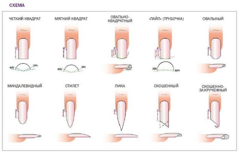 Как правильно подобрать форму ногтей для маникюра фото схемы