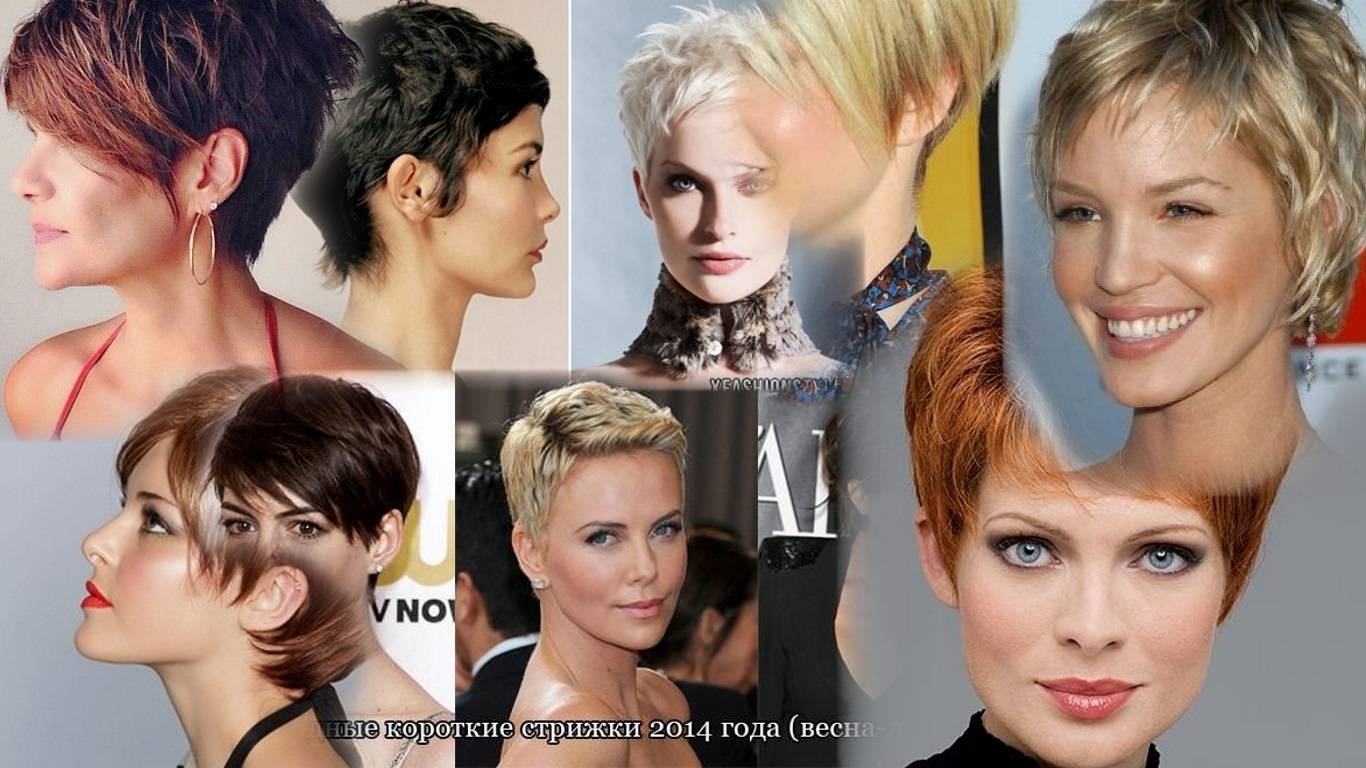 Модные женские стрижки на короткие волосы: основные правила, варианты исполнения (212 фото + видео)