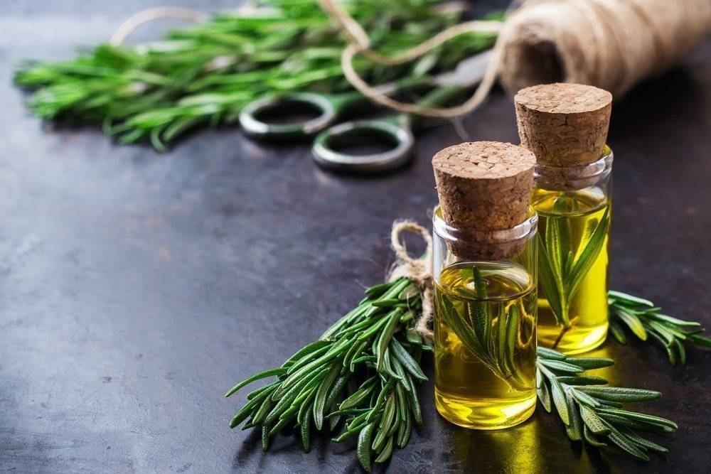 Эфирное масло розмарина — доказанные свойства +применение