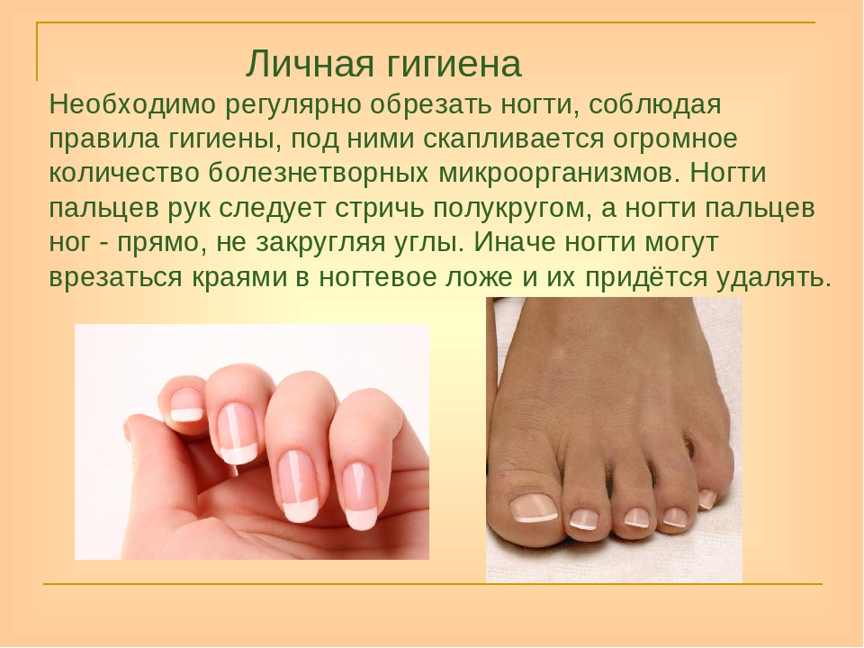 Конспект урока уход за кожей волосами и ногтями
