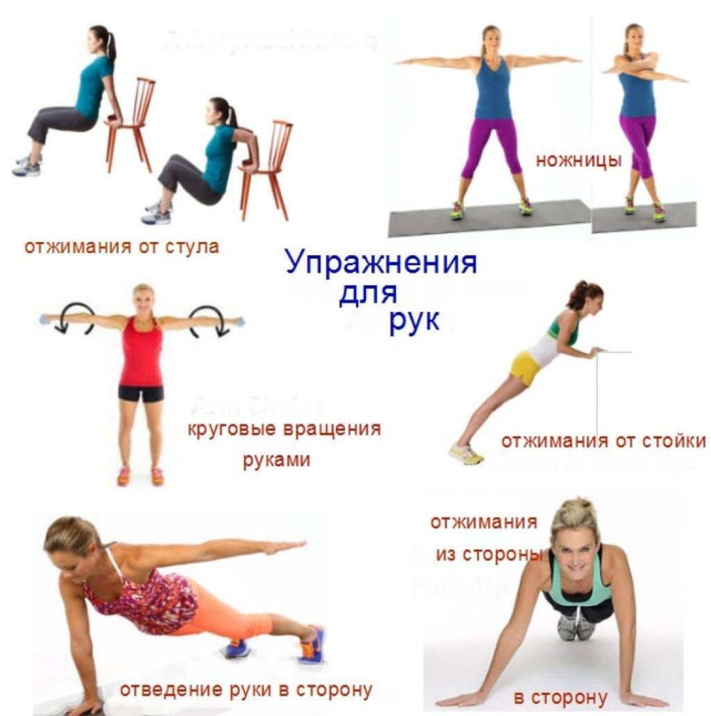 Топ-6 лучших упражнений с гантелями на ноги и правильная техника их выполнения