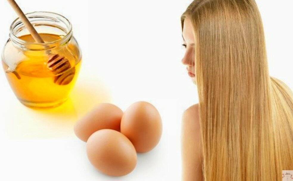 Маска для волос из меда и яйца с рецептами использования раз в неделю