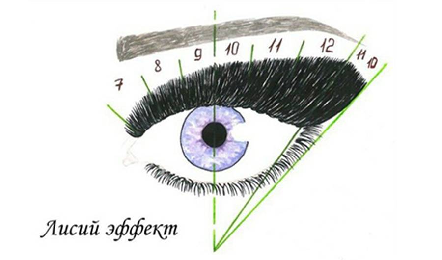 Схемы наращивания ресниц с разметкой для начинающих все эффекты