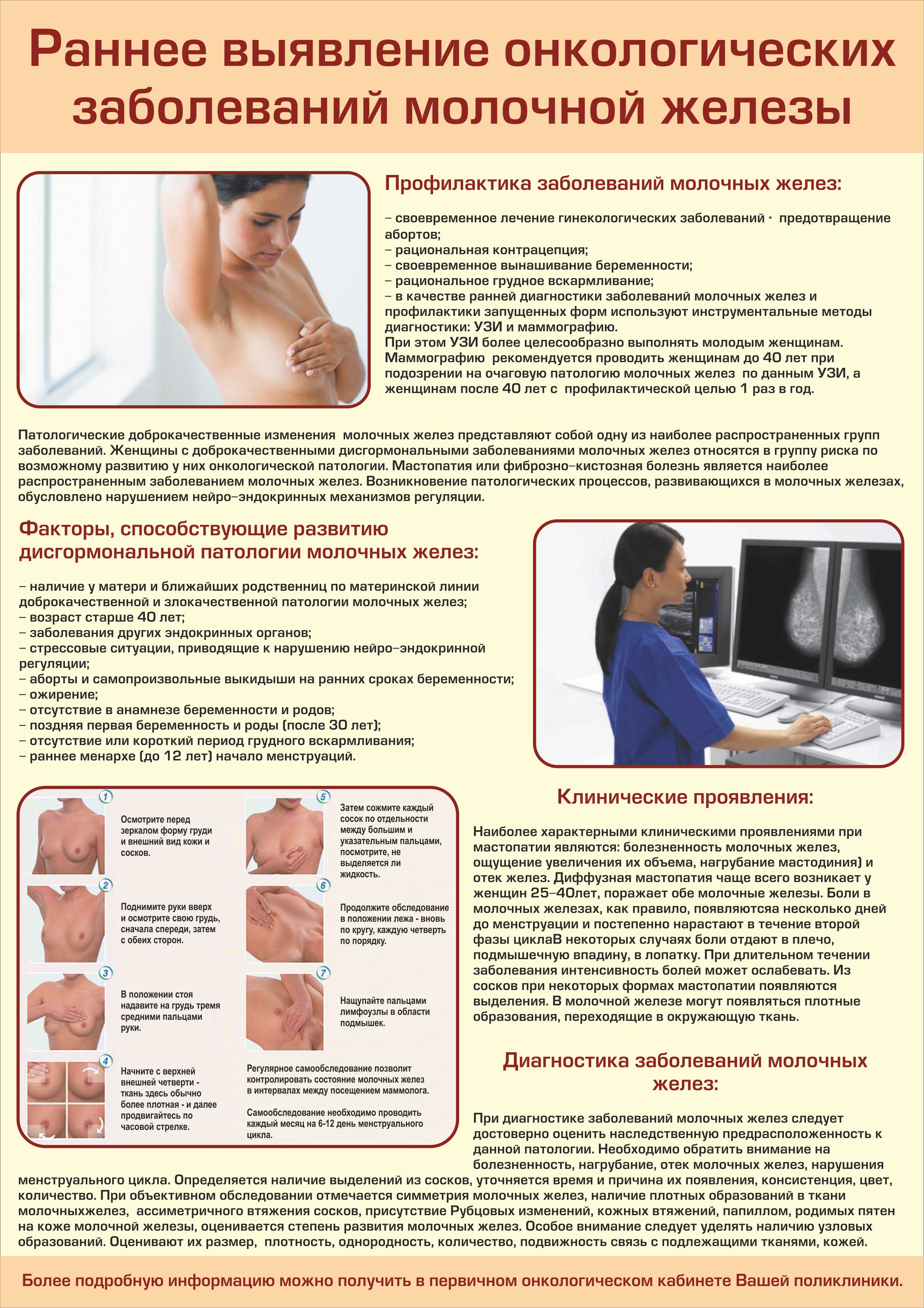 Виды груди у женщин: какие бывают формы и их классификация | parnas42.ru