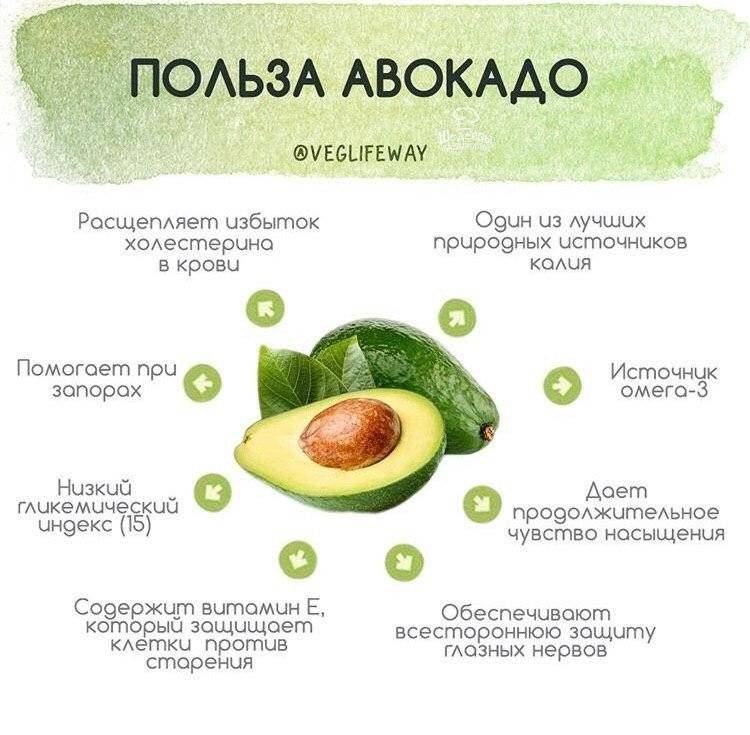 11 научных фактов о пользе авокадо для человека и возможном вреде