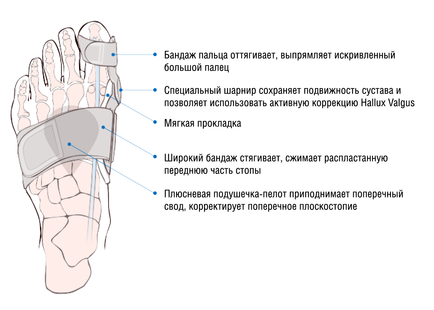 Почему на больших пальцах ног болят ногти: причины и методы лечения - sammedic.ru