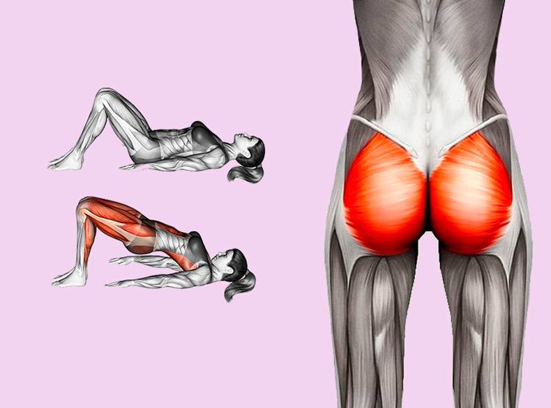 Упражнения на среднюю ягодичную мышцу — округляем попу