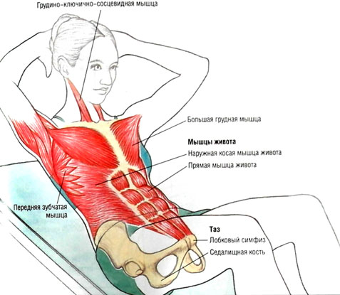 Как снять напряжение в косой мышце живота
