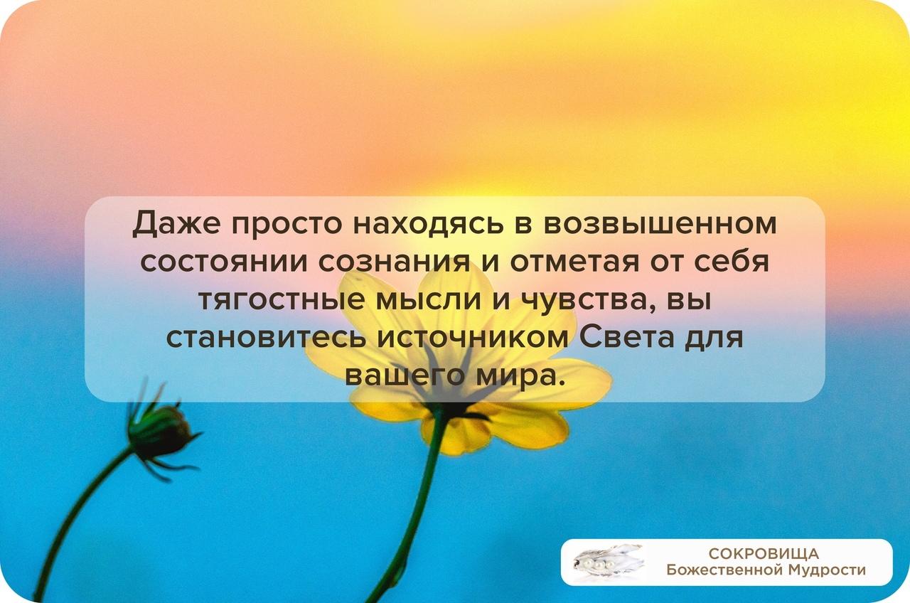 Хоопонопоно для начинающих