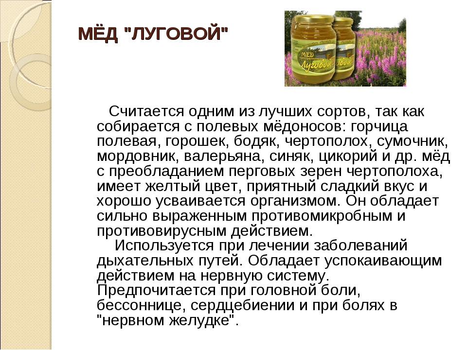 Рапсовый мед: польза и вред, описание и характеристики, противопоказания