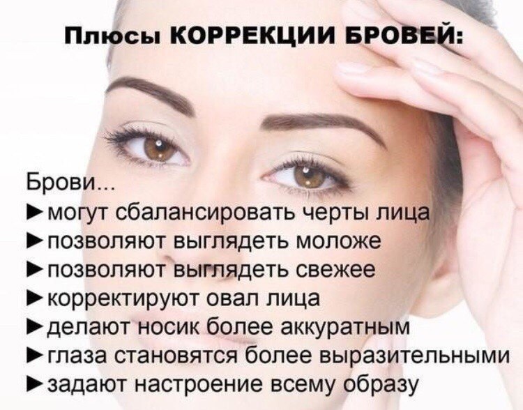 Вопрос: коррекция и окрашивание бровей: что такое «правильные брови», и каковы правила красивых бровей