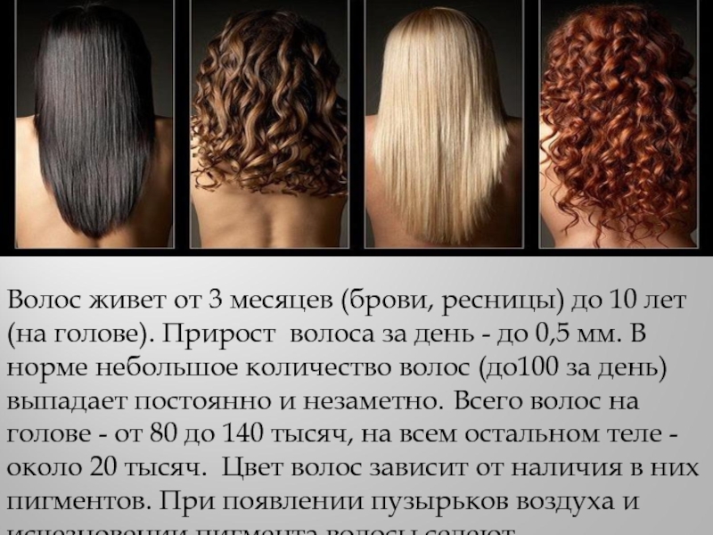 Какие могут быть волосы русский язык