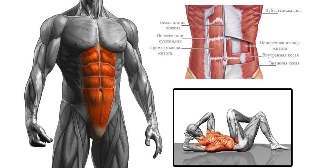 Тренировка глубоких мышц для плоского живота и здоровой поясницы