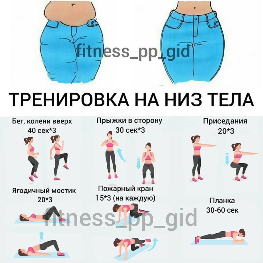 Домашние тренировки для девушек: фитнес программы тренировок, упражнения в домашних условиях