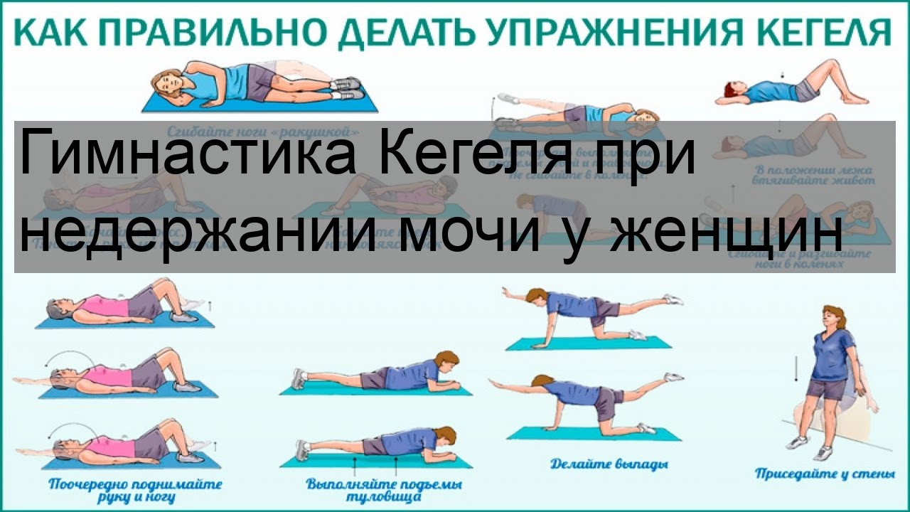 Упражнения для мышц тазового дна