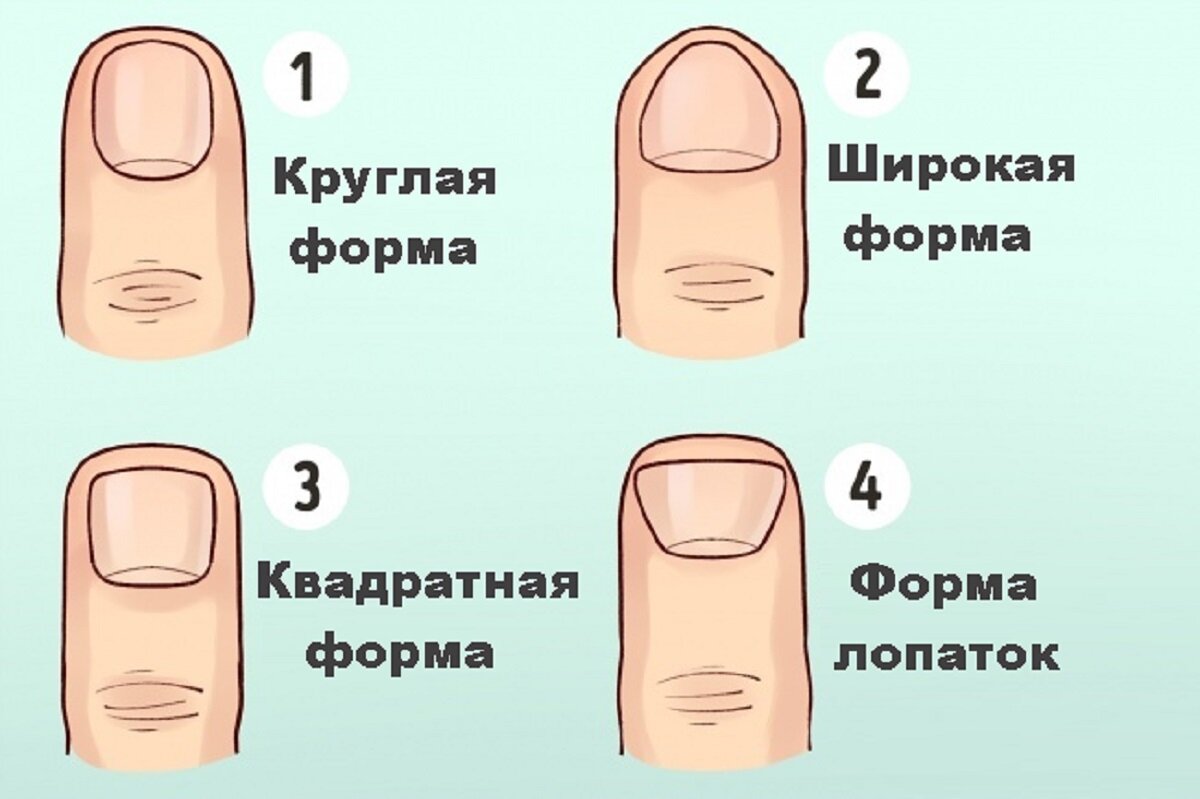 Узнайте характер человека по форме пальцев и ногтей