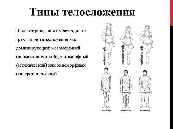 Нормостеник: тип телосложения у женщин и мужчин, характеристика, как определить конституцию