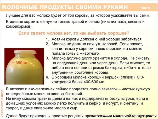Сыворотка: полезные и опасные свойства | food and health