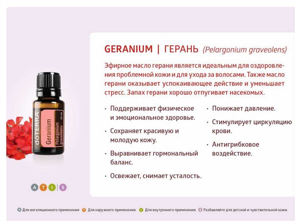 Масло герани – зелёный аромат здоровья