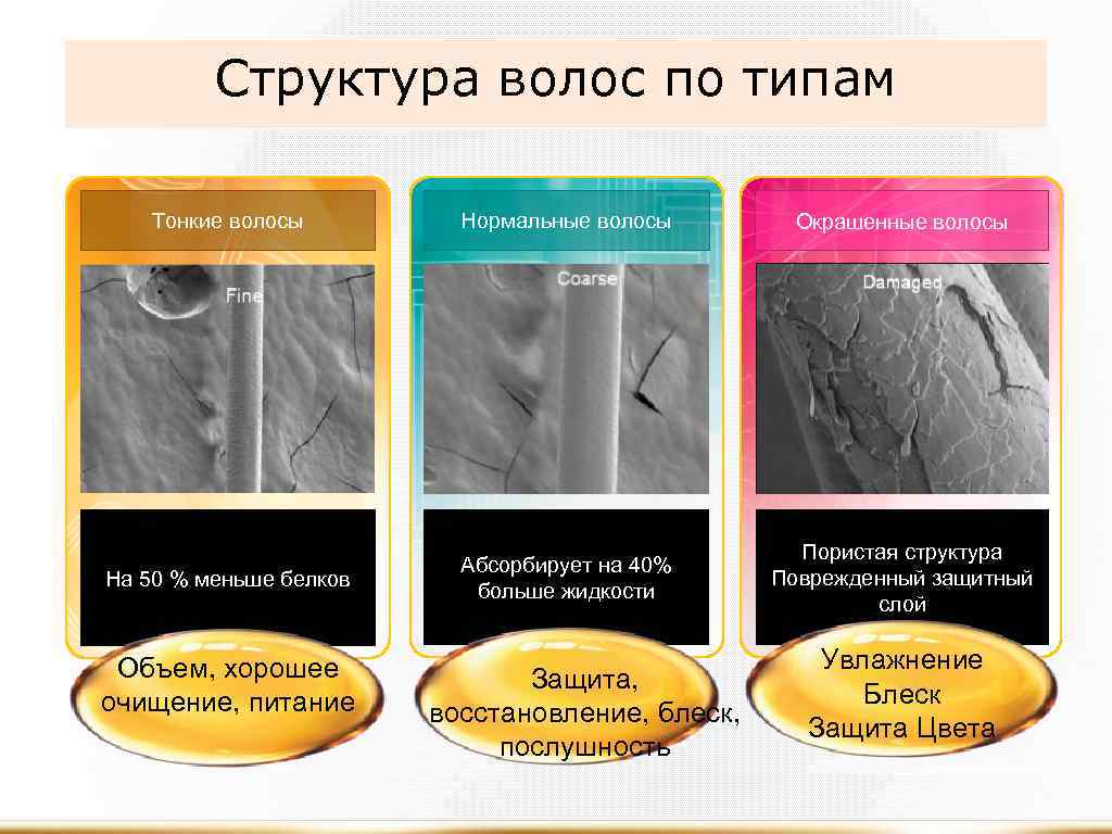 Волосы человека: строение и типы