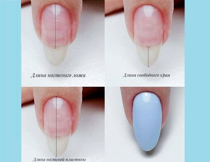 Как сделать миндальную форму ногтей на короткие и длинные пластины? | vrednuga.ru
