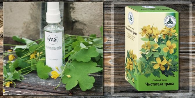 Какие травы для лица помогут от избавиться от прыщей и жирной кожи
