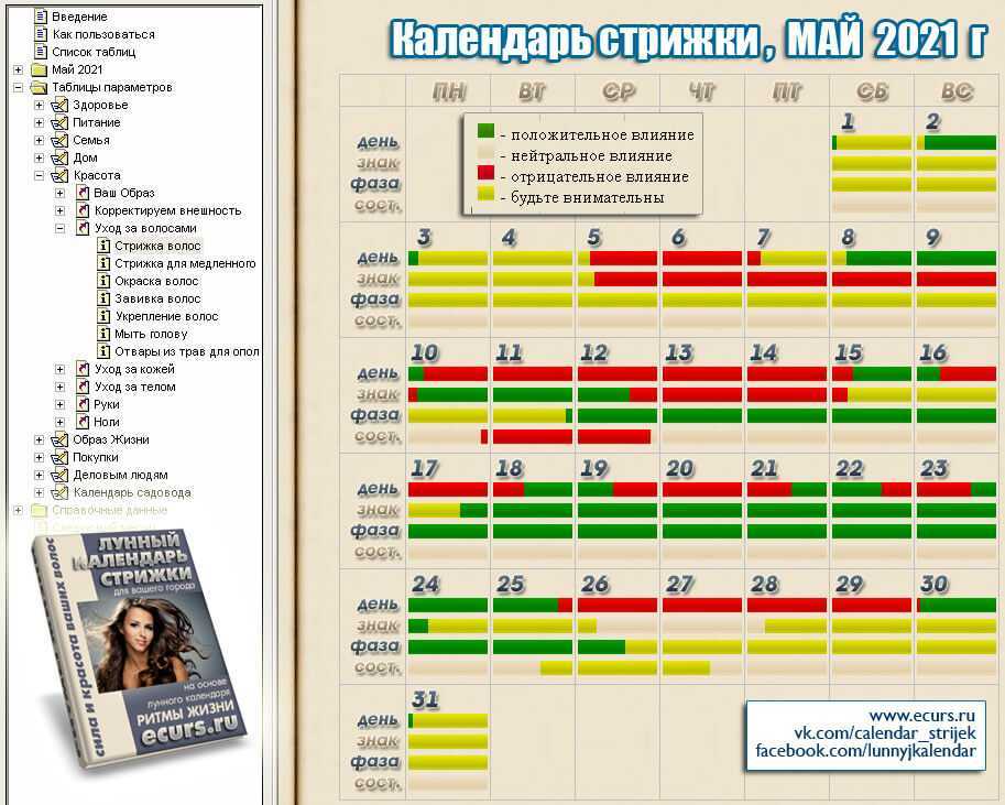 Как выбрать лучший день для стрижки волос по всем приметам