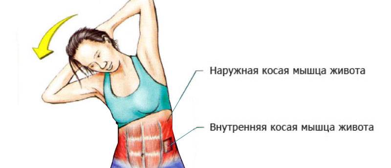 Упражнения для боков и талии - косые мышцы живота