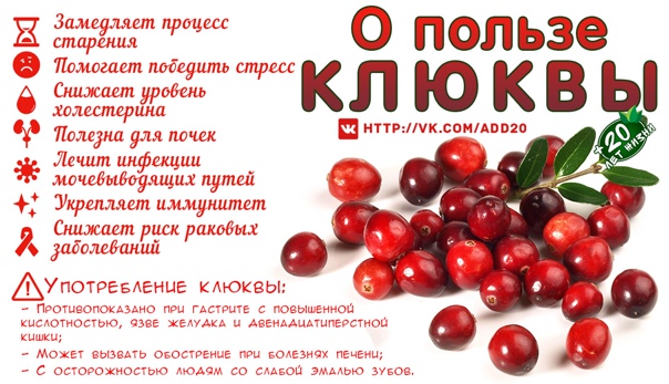 Хотите иметь красивую кожу лица? выбирайте клюкву! | красота и здоровье | школажизни.ру