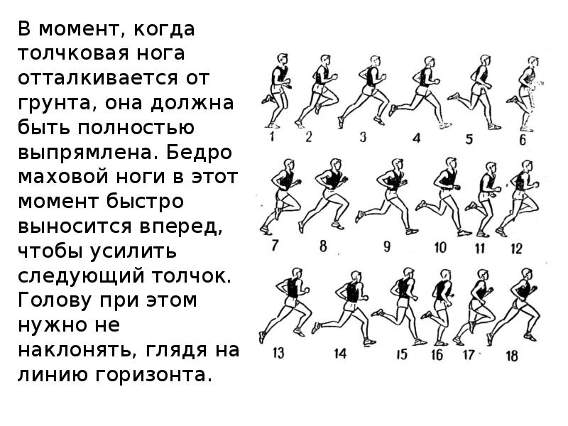 Бег на длинные дистанции: техника, тактика, тренировки. бег для всех. доступная программа тренировок