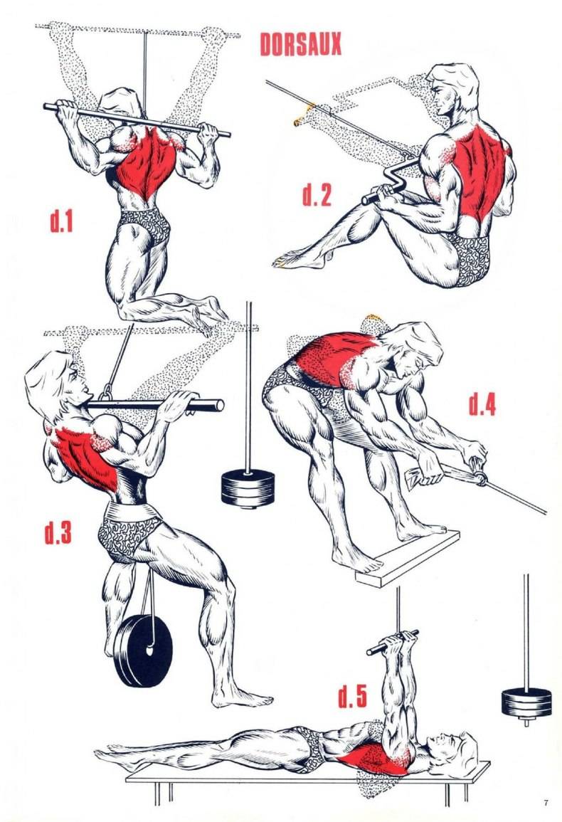 Упражнения для девушек на спину: описание комплекса упражнений, техника выполнения, фото - tony.ru