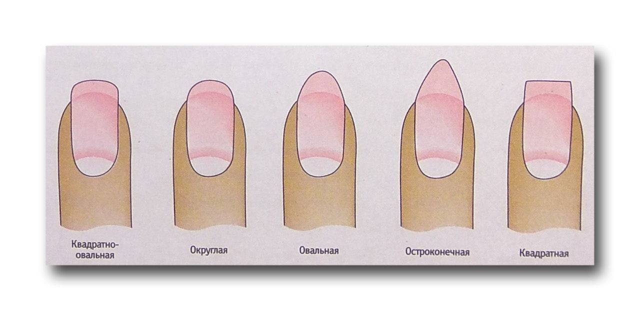 Опил форм ногтей. сложности и нюансы — modnail.ru — красивый маникюр