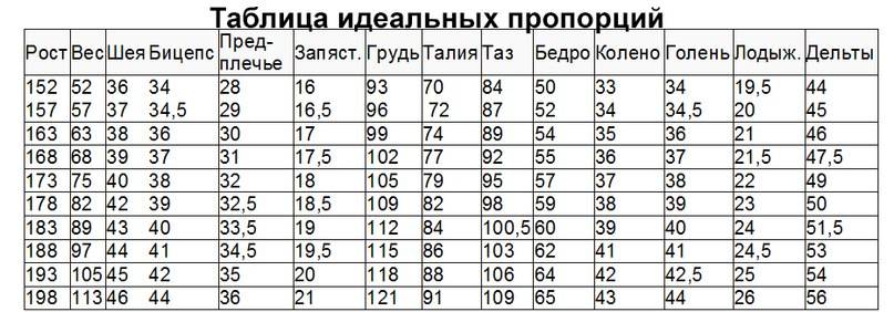 Идеальная фигура. женская антропометрия