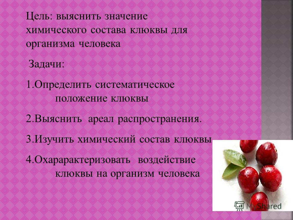 Клюква - суперфуд молодости и красоты. чем она полезна. имеются ли у нее противопоказания