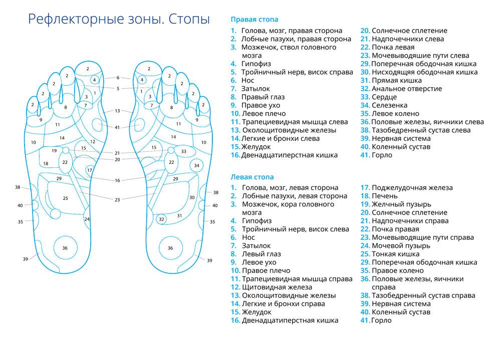 Проекции внутренних органов на стопе