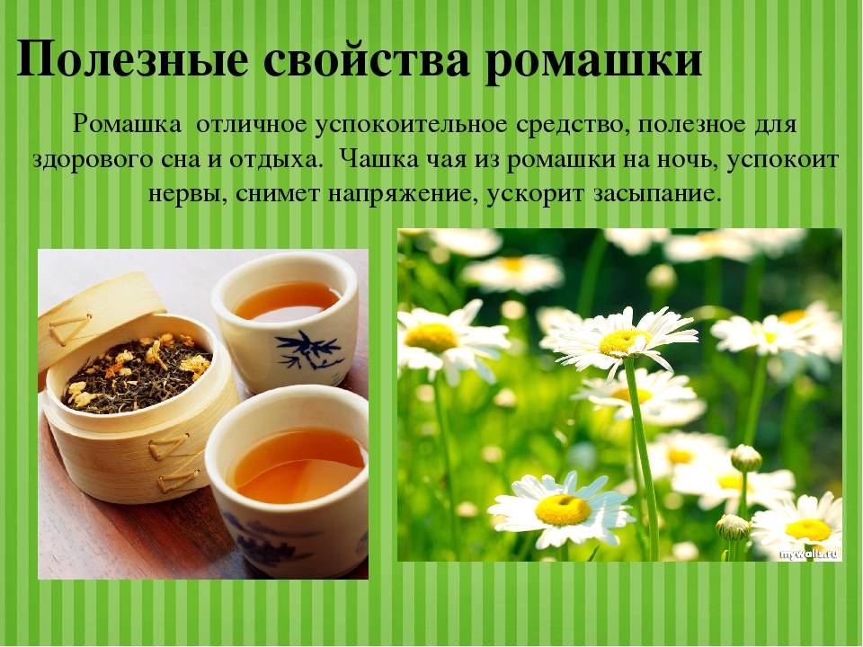Ромашка для лица: крем, настой, отвар, компресс, распаривание и ромашковый лед, протирание кубиками польза и вред, аптечный экстракт в косметологии от прыщей | moninomama.ru