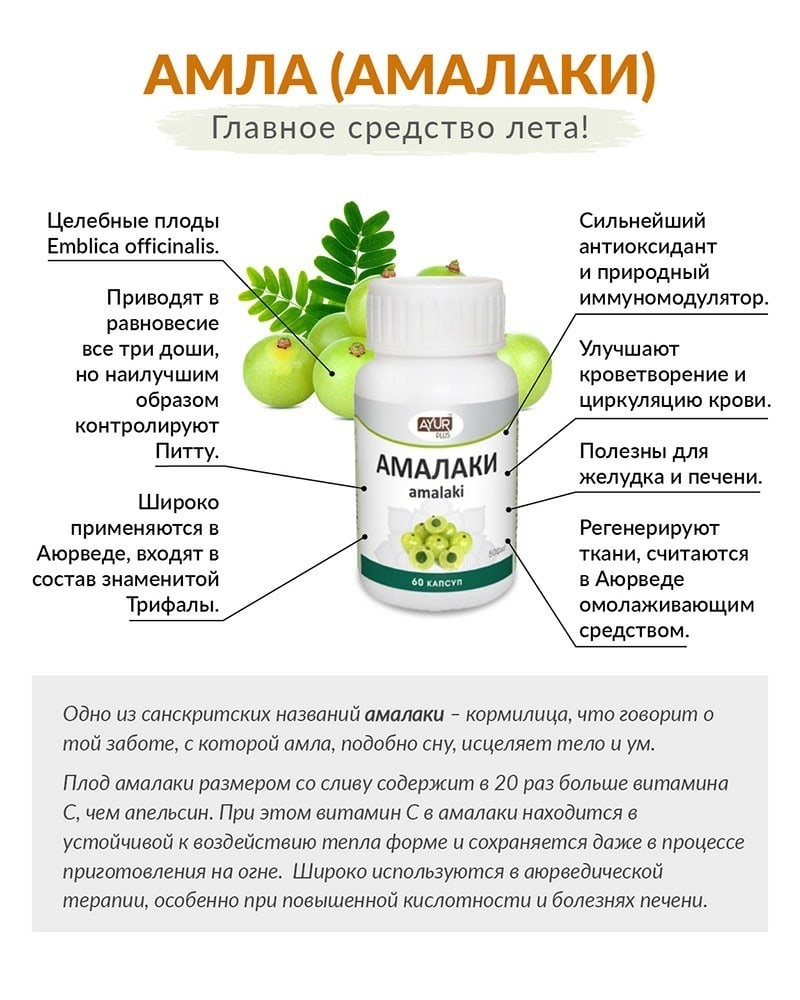 Масло амлы: свойства и применение