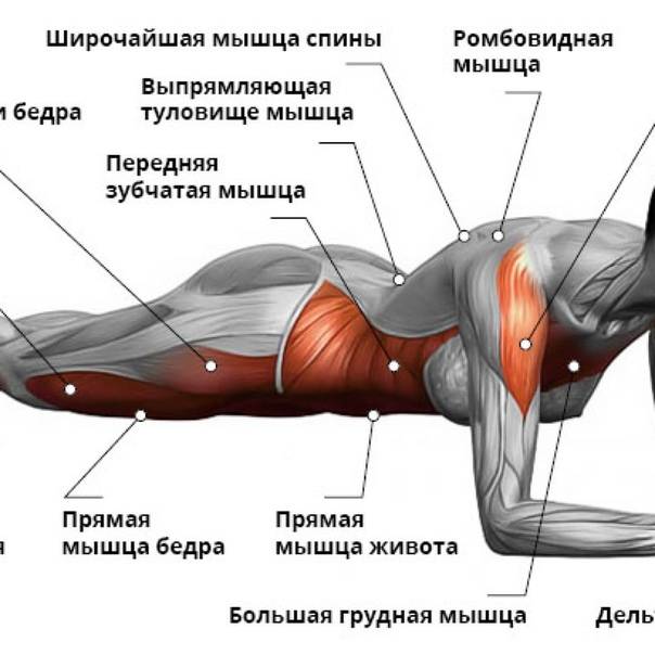 21 упражнение для мышц пресса и спины в домашних условиях